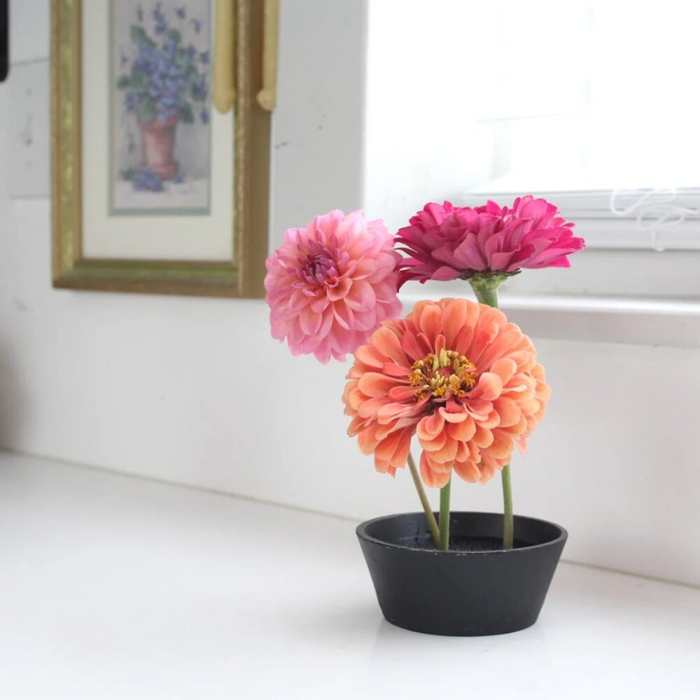 Two's Company 2" Black Square Cast Iron Flower Frog Kansans for Ikebana NWT